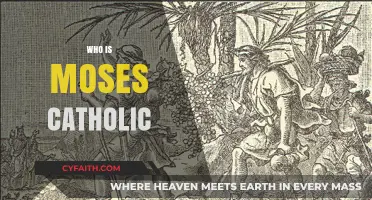 Who is Moses in Catholic Tradition: Exploring His Biblical Significance