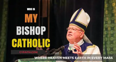 Discovering Your Catholic Bishop: A Guide to Diocesan Leadership