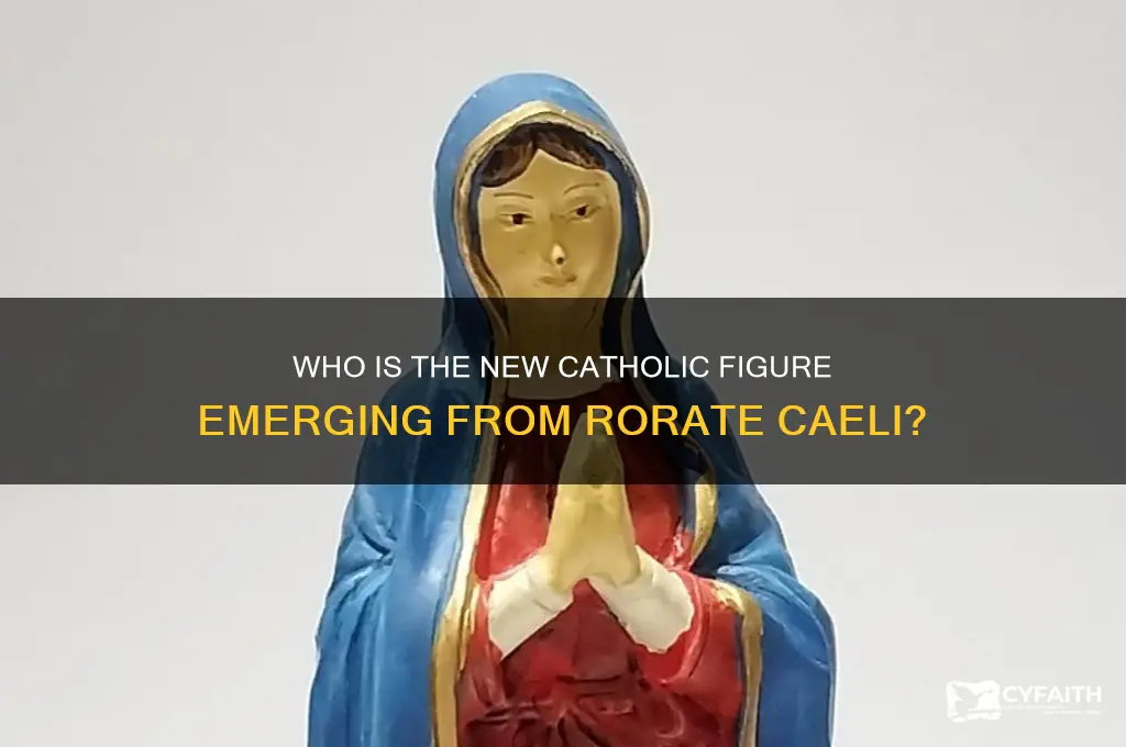 who is new catholic from rorate