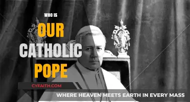 Who is the Catholic Pope? A Comprehensive Guide to His Role