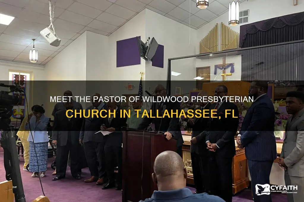 who is pastor of wildwood presbyterian church tallahassee fl