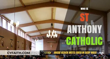 Discovering St. Anthony: The Life and Legacy of a Catholic Saint
