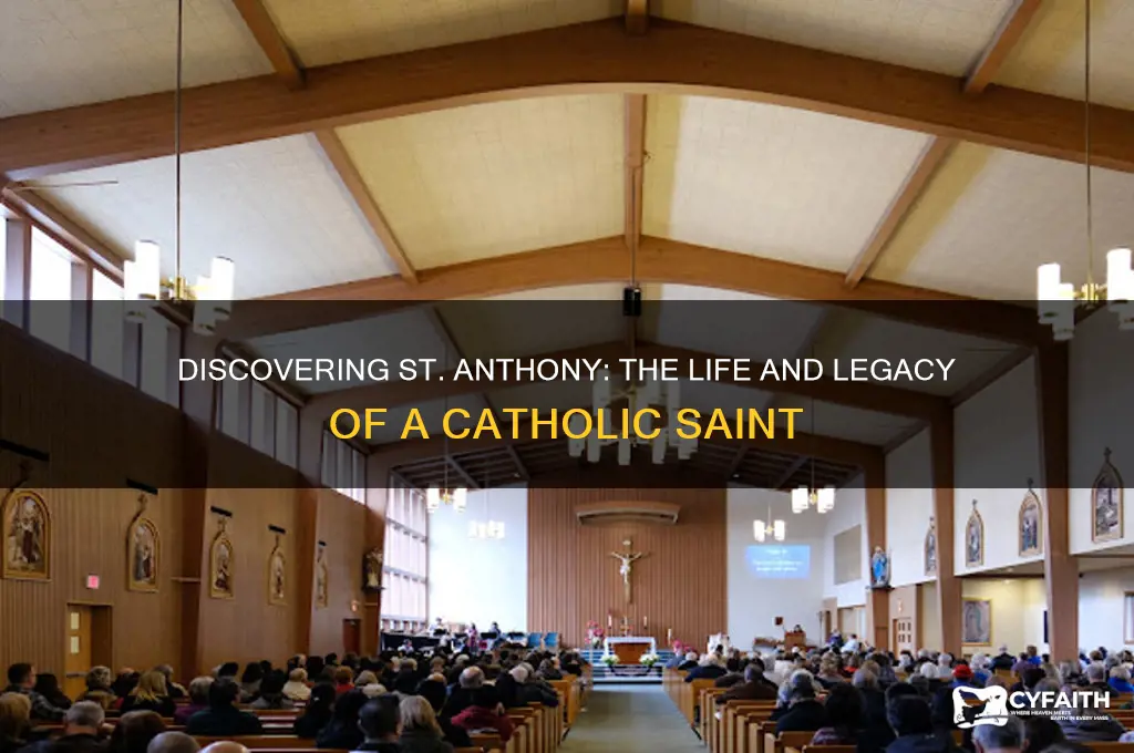 who is st anthony catholic