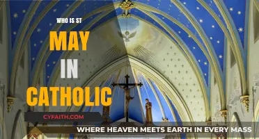 Unveiling St. Mary's Role and Significance in Catholic Tradition