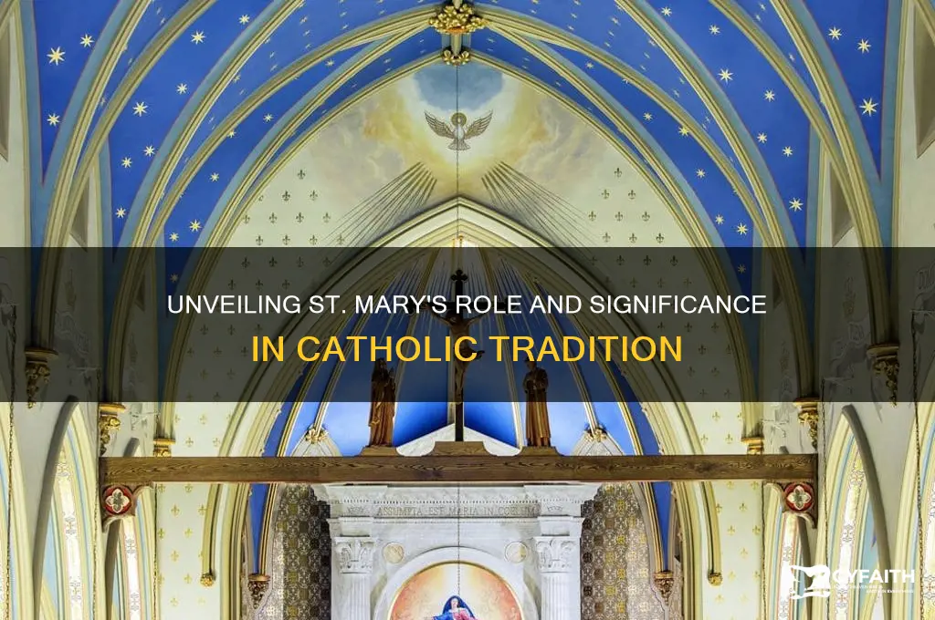 who is st may in catholic