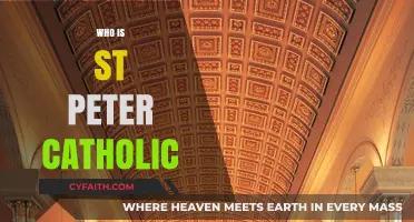 Who is St. Peter in Catholic Tradition and Legacy?