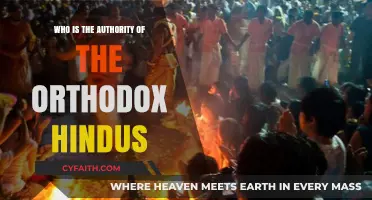 Understanding Orthodox Hinduism: Identifying the Central Authority Figure