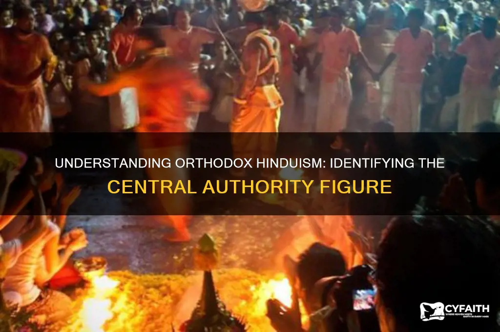 who is the authority of the orthodox hindus