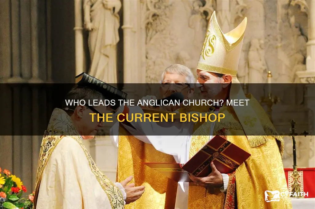 who is the bishop of the anglican church
