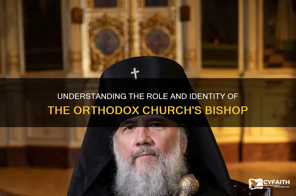 who is the bishop of the orthodox church