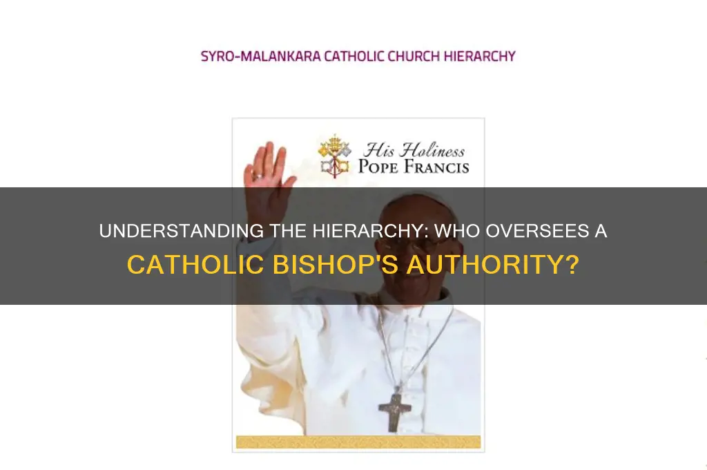 who is the boss of a catholic bishop