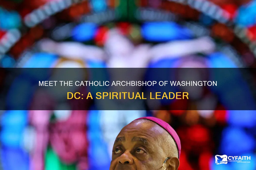 who is the catholic archbishop of washington dc