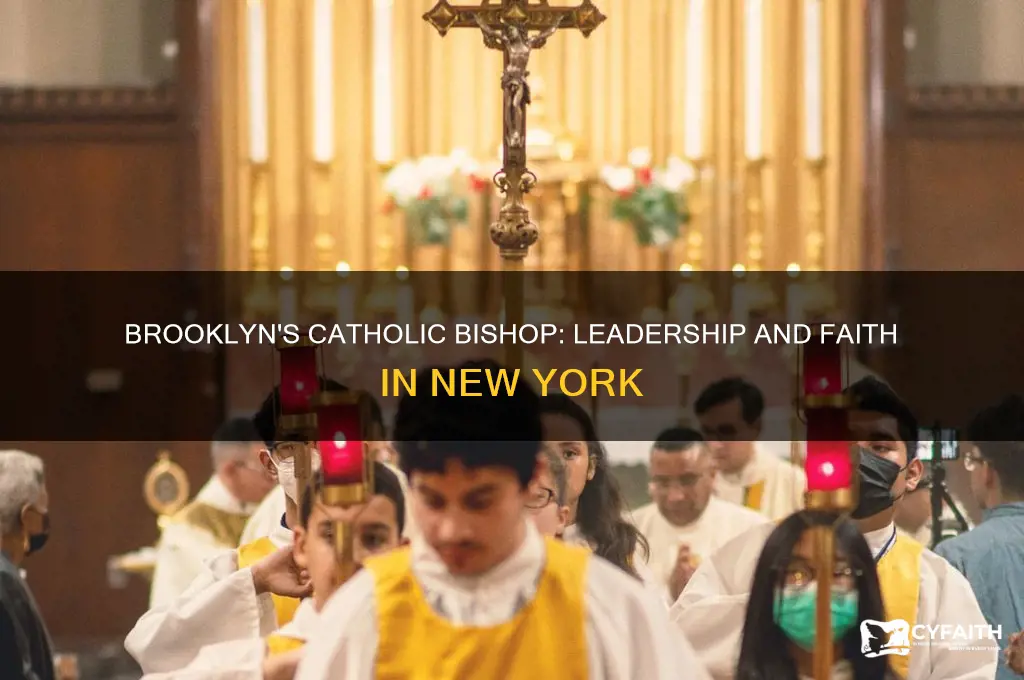 who is the catholic bishop in brookly ny