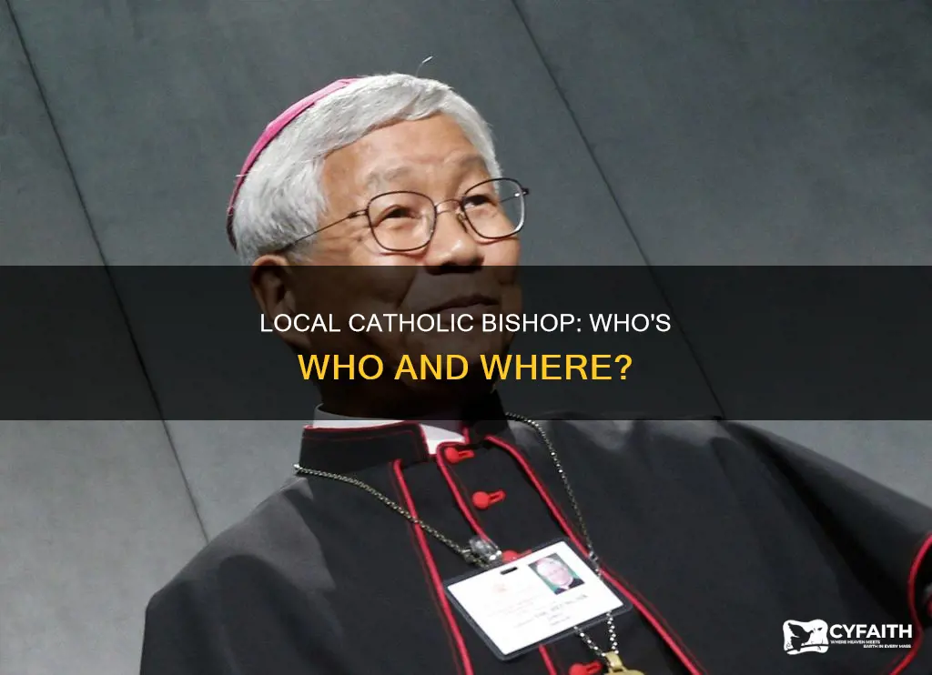 who is the catholic bishop in my area