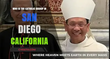Meet San Diego's Catholic Bishop: Leadership and Faith in California