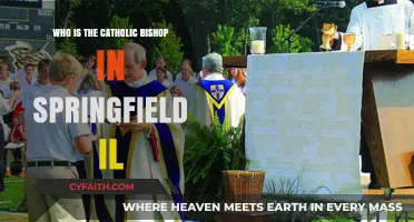 Meet Springfield IL's Catholic Bishop: Leadership and Faith in Action