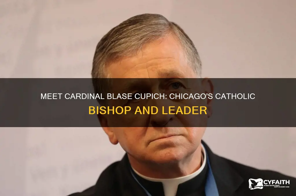 who is the catholic bishop of chicago