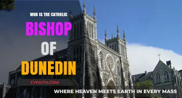 Meet the Catholic Bishop of Dunedin: Leadership and Legacy