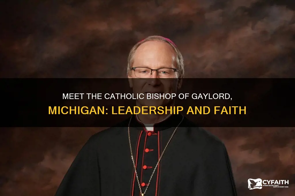 who is the catholic bishop of gaylord michigan