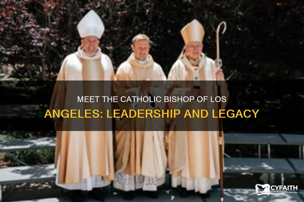 who is the catholic bishop of los angeles