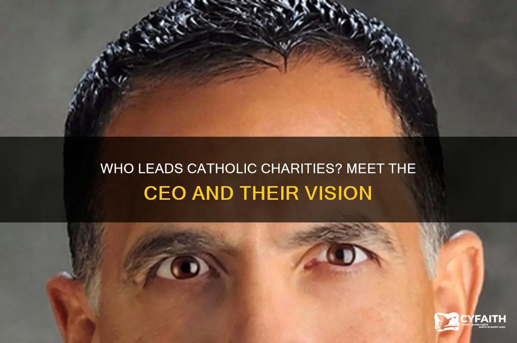 who is the ceo of catholic charities