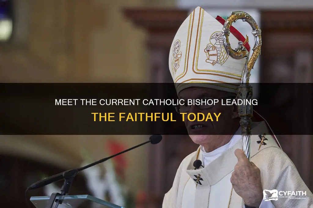 who is the current catholic bishop
