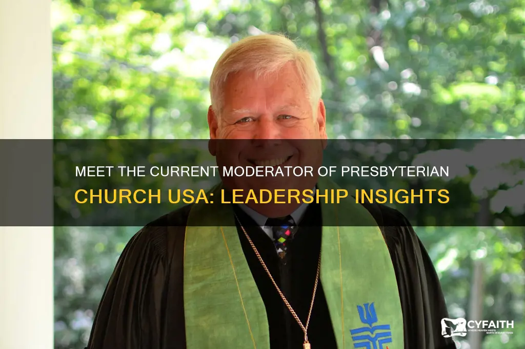 who is the current moderator of presbyterian church usa