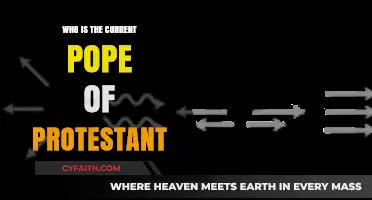 Understanding Protestant Leadership: Why There’s No Current Pope in Protestantism