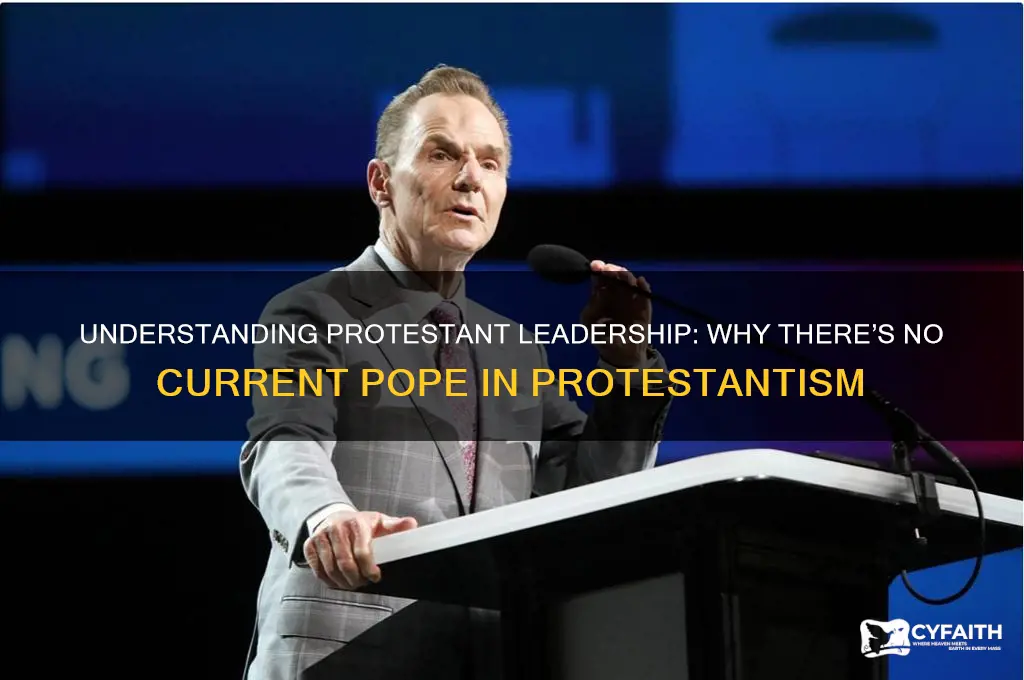 who is the current pope of protestant