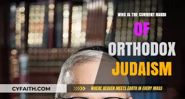 Who Leads Orthodox Judaism Today: Exploring the Current Rabbinic Authority