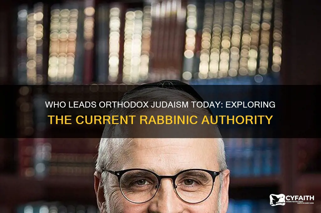 who is the current rabbi of orthodox judaism