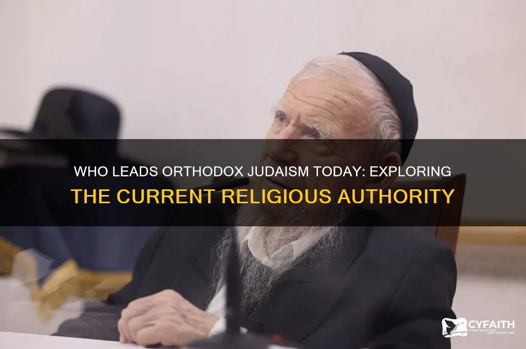 who is the current religious leader of orthodox judaism