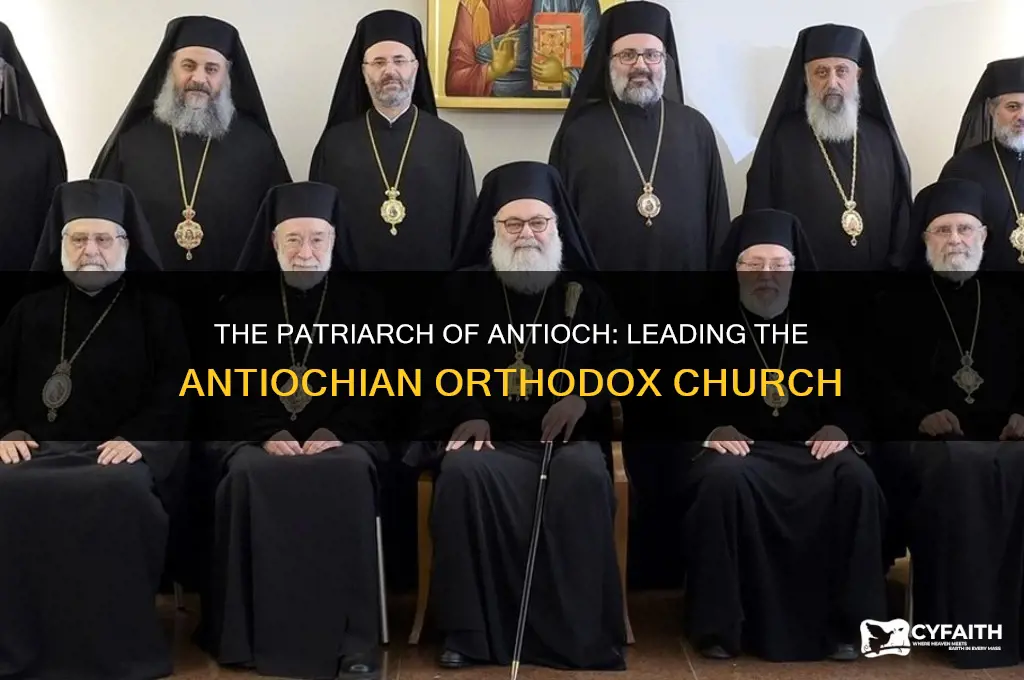 who is the head leader of the antiochian orthodox church