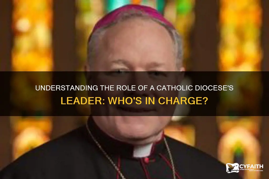 who is the head of a catholic diocese