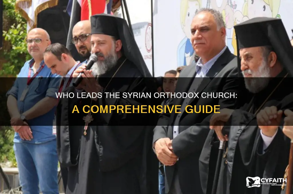 who is the head of syrian orthodox church