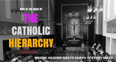 Understanding the Catholic Hierarchy: Who Leads the Global Church?