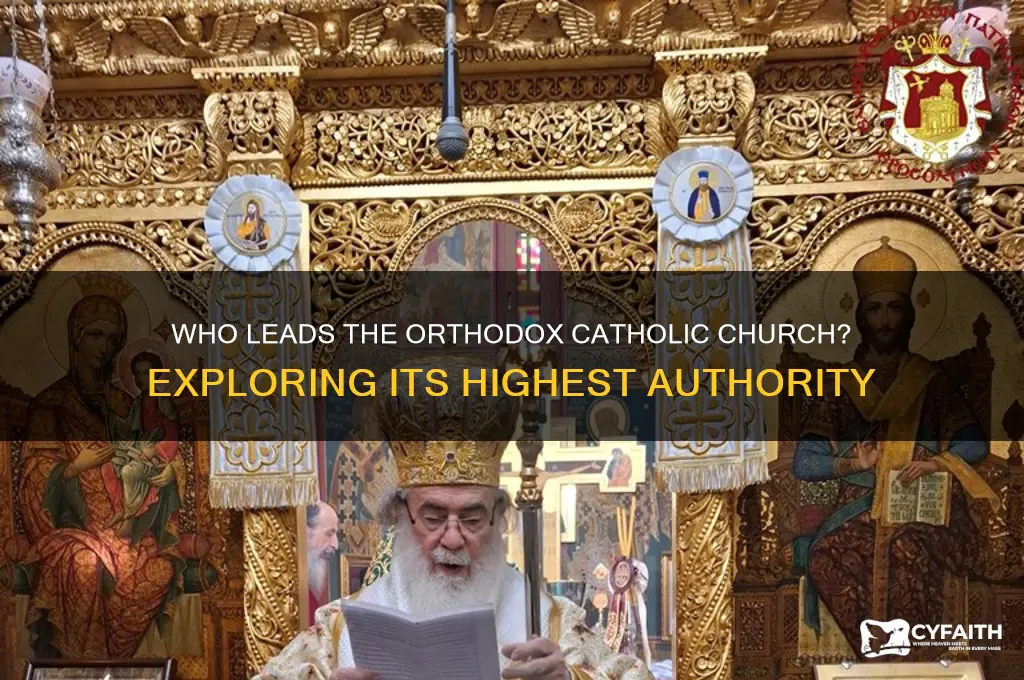 who is the head of the orthodox catholic church