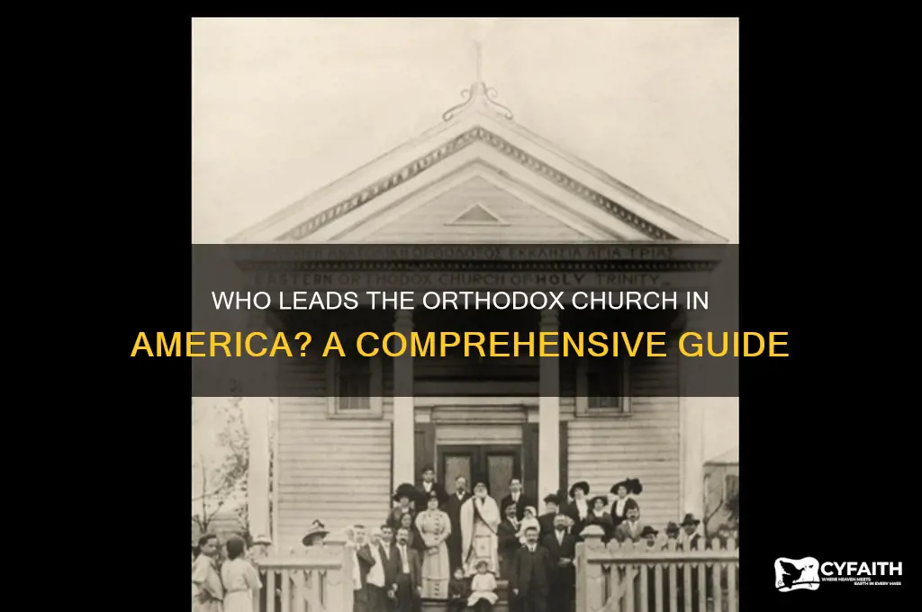 who is the head of the orthodox church in america