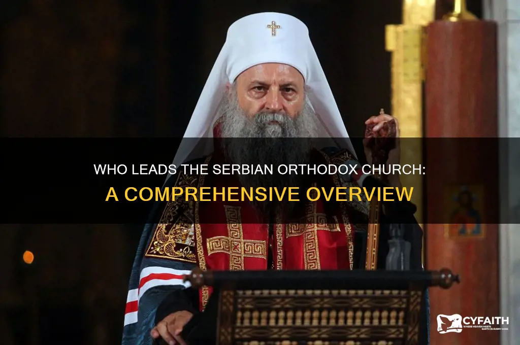 who is the head of the serbian orthodox church