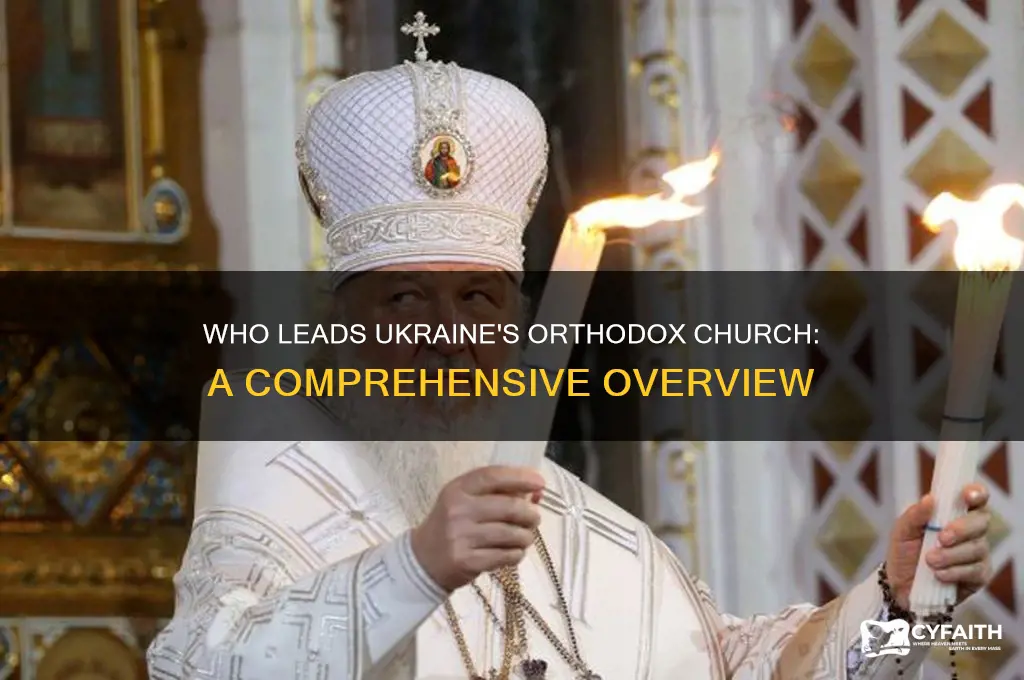 who is the head of the ukrainian orthodox church