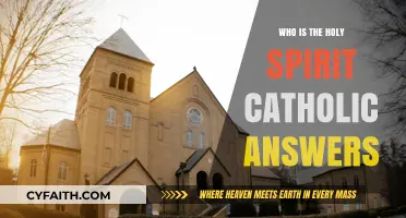 Understanding the Holy Spirit: Catholic Insights and Answers