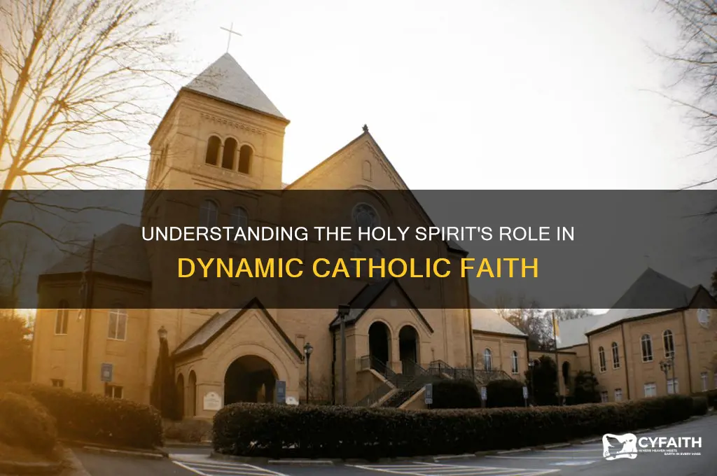 who is the holy spirit dynamic catholic