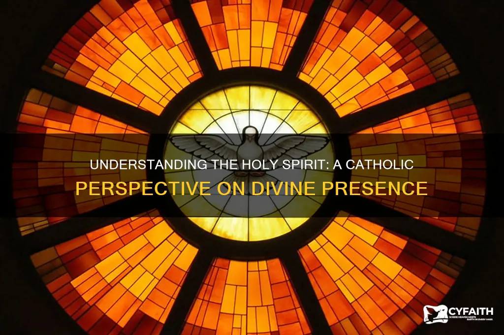 who is the holy spirit from a catholic perspective