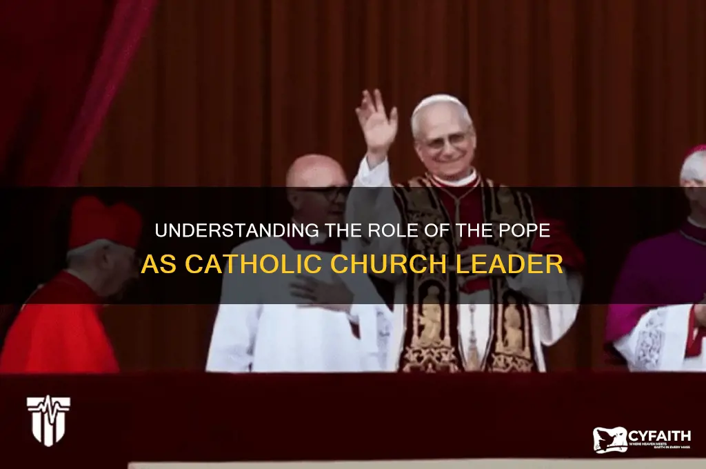 who is the leader of catholic