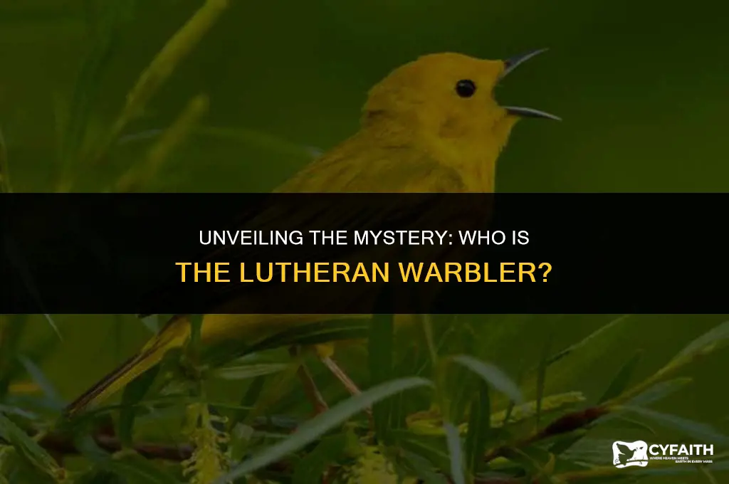 who is the lutheran warbler