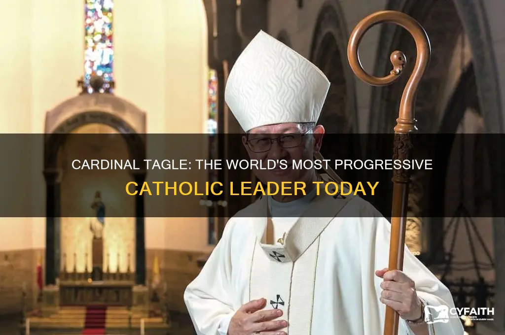 who is the most progressive catholic cardinal in the world
