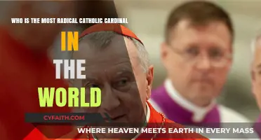 The Most Radical Catholic Cardinal: A Global Perspective on Faith and Change