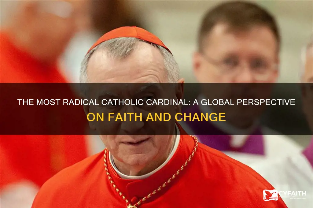 who is the most radical catholic cardinal in the world