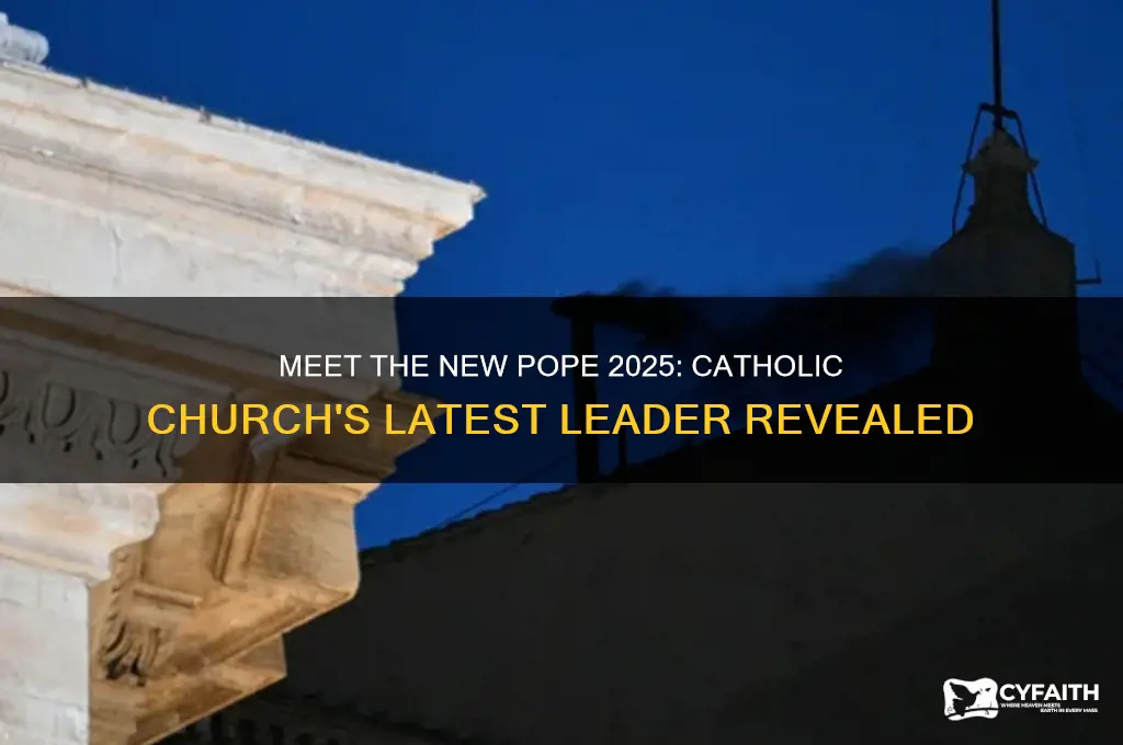 who is the new pope 2025 catholic