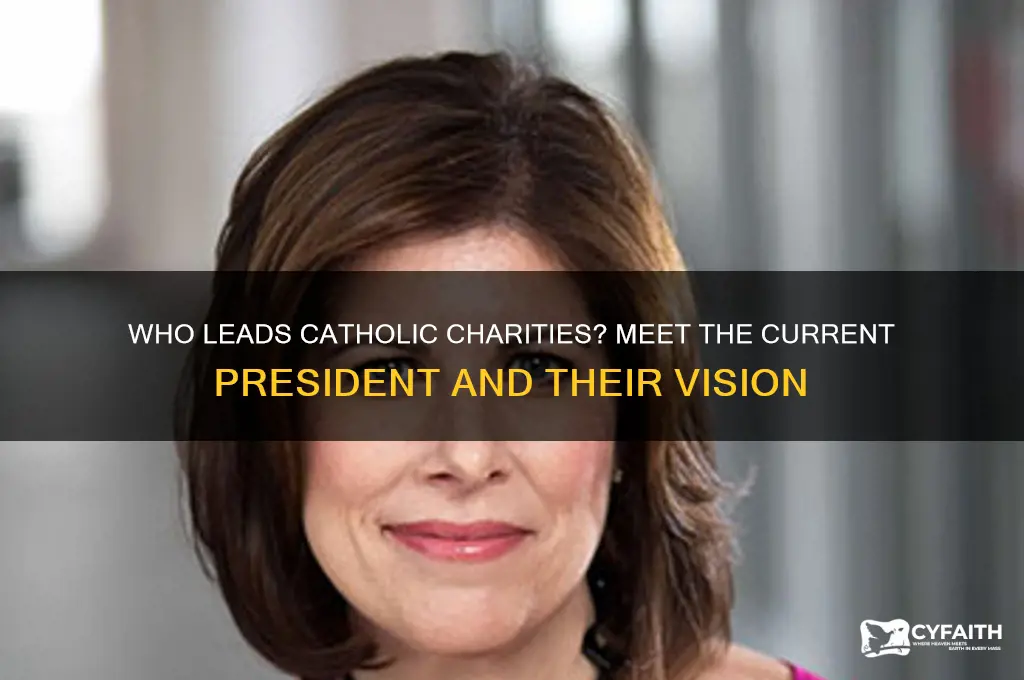 who is the president of catholic charities